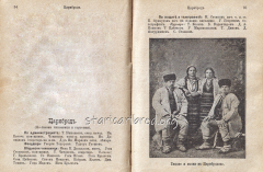 сн 1:  Цариброд в Български алманах за 1896 г., стр. 94-95
