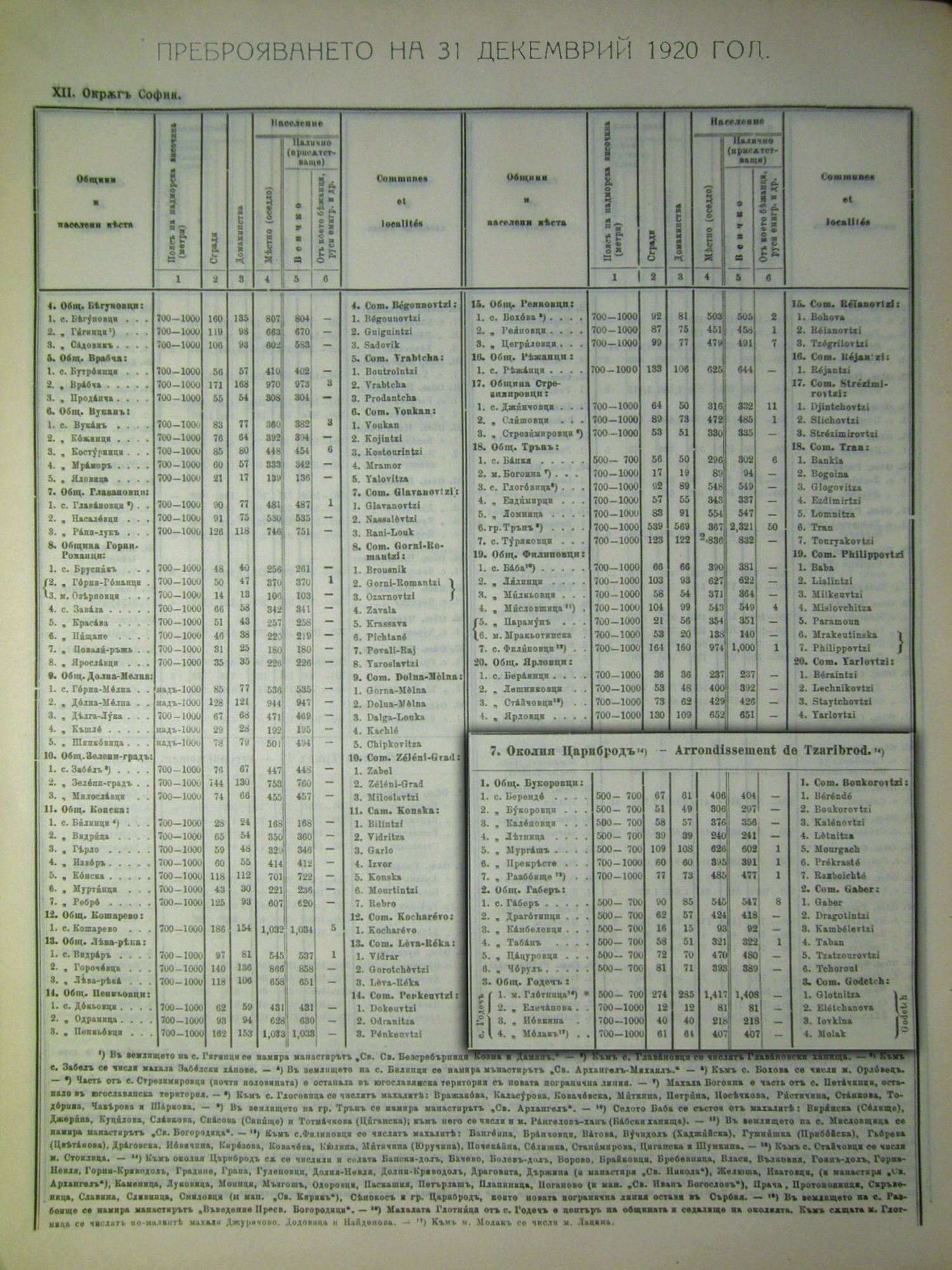 1920-та г., статистически данни за околия Цариброд, стр. 1