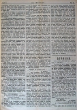 в-к "Цариброд", 1901, бр. 11, стр. 3
