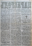 в-к "Цариброд", 1901, бр. 2, стр. 2