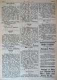 в-к "Цариброд", 1902, бр. 16, стр. 4