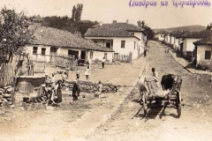 08_Caribrod_Stroshena_Cheshma