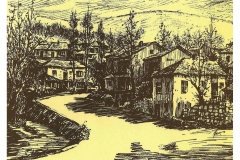 09_Caribrod_Duduna_Mahala_Metodi_Meto_Petrov